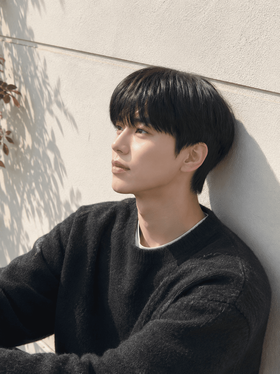 #슬릭댄디컷